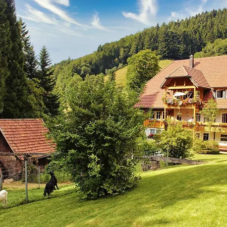 Hoferpeterhof Apartment Bad Peterstal-Griesbach